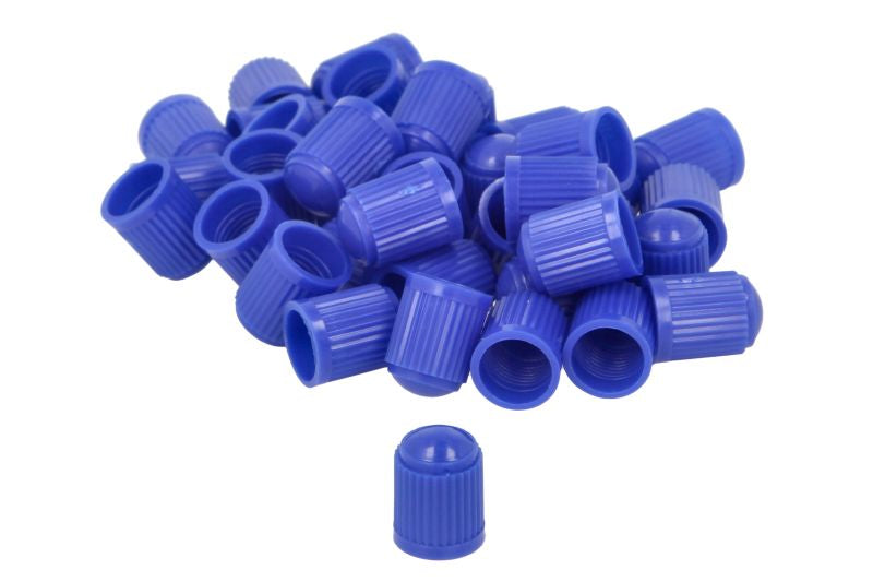 PROFITOOL Ventilmuttrar för däckventiler – Blå plastmuttrar (100-pack)